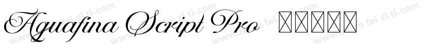 Aguafina Script Pro字体转换